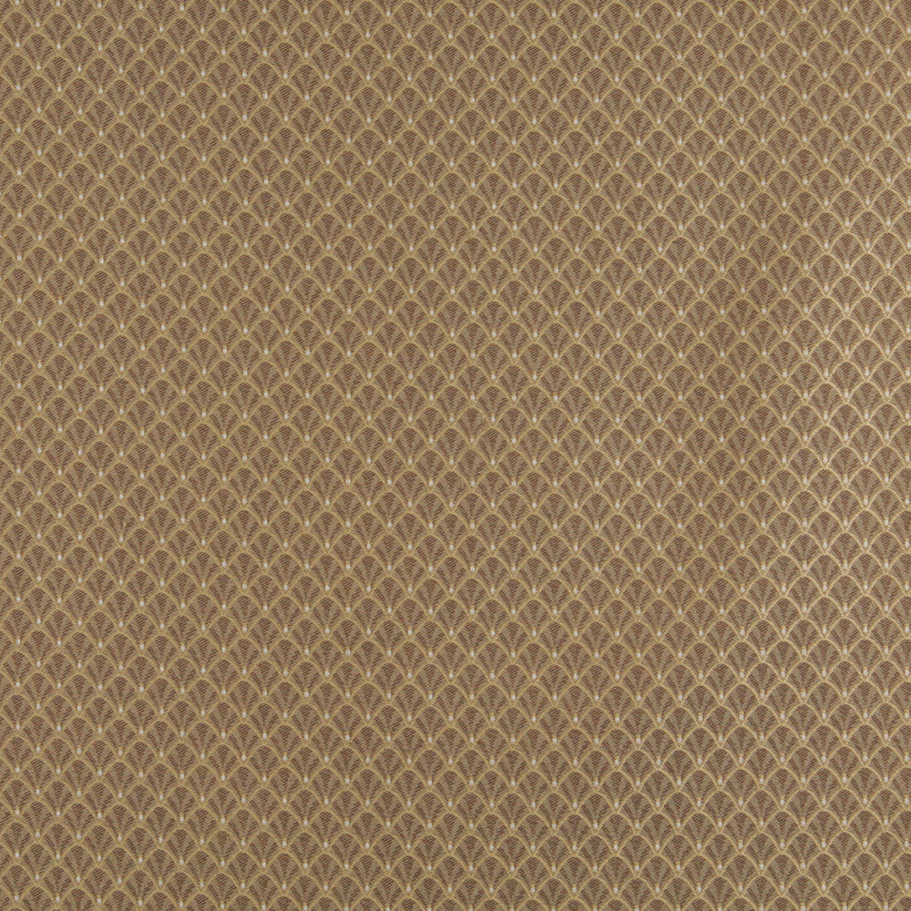 4359 Harvest Shell by Charlotte Designer Fabric Uptown Jacquards V 55% Cotton, 45% Polyester Asia Exceeds 70,000 Wyzenbeek Rubs (Heavy Duty) Horizontal: 1" x Vertical: 1" 54 Inches - Swanky Fabrics -
