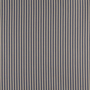 4365 Wedgewood Stripe by Charlotte Designer Fabric