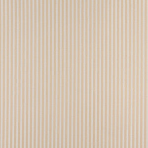 4368 Ecru Stripe by Charlotte Designer Fabric