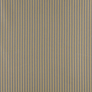4369 Chambray Stripe by Charlotte Designer Fabric