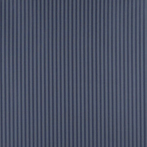 4371 Dresden Stripe by Charlotte Designer Fabric