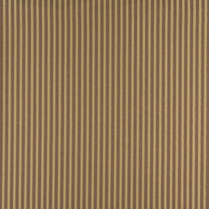 4372 Harvest Stripe by Charlotte Designer Fabric
