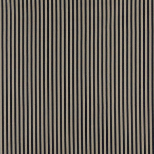 4376 Cobalt Stripe by Charlotte Designer Fabric