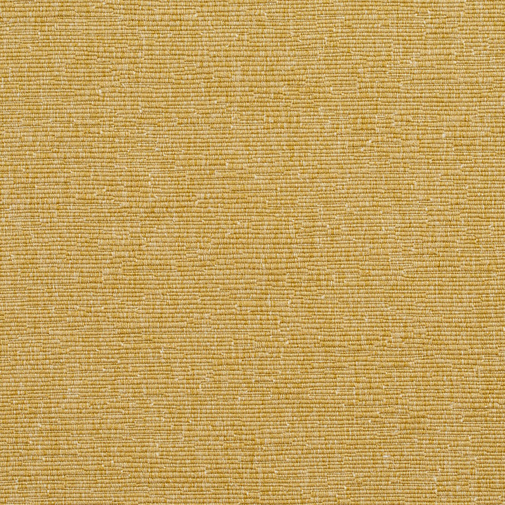 4403 Citrine by Charlotte Designer Fabric Multipurpose Jacquards 59% Cotton, 41% Polyester Taiwan Exceeds 200,000 Wyzenbeek Rubs (Heavy Duty) No Repeat 54 Inches - Swanky Fabrics -