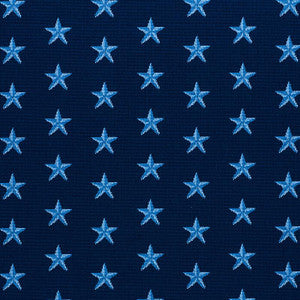 Star Pingl Blue 77421 by Schumacher Designer Fabric