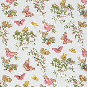 Baudin Butterfly Chintz Blush 178720 by Schumacher Designer Fabric