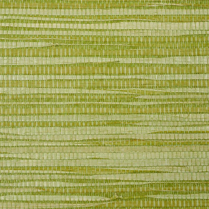 Dyed Raffia Leaf 5010343 by Schumacher Designer Wallpaper Down To Earth Textured Wallcovering - Swanky Fabrics -