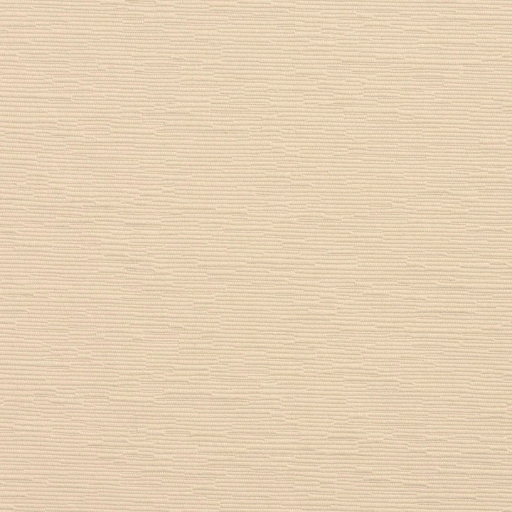 4407 Ivory by Charlotte Designer Fabric Multipurpose Jacquards 59% Cotton, 41% Polyester Taiwan Exceeds 200,000 Wyzenbeek Rubs (Heavy Duty) No Repeat 54 Inches - Swanky Fabrics -