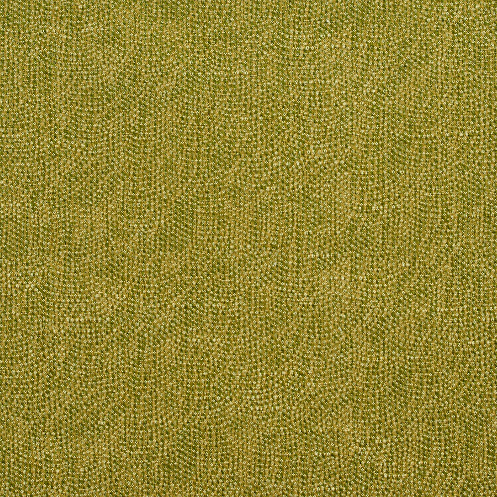 4447 Fern by Charlotte Designer Fabric Multipurpose Jacquards 59% Cotton, 41% Polyester Taiwan Exceeds 200,000 Wyzenbeek Rubs (Heavy Duty) No Repeat 54 Inches - Swanky Fabrics -