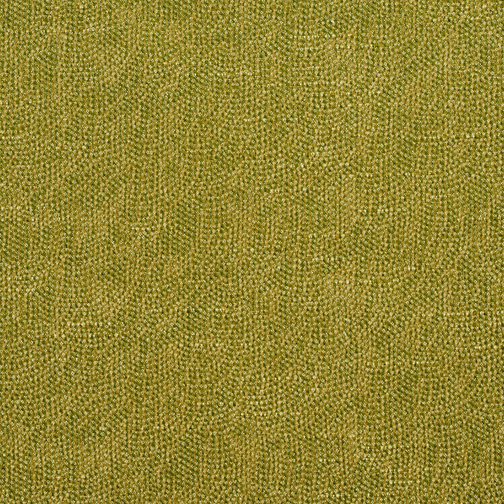 4447 Fern by Charlotte Designer Fabric Multipurpose Jacquards 59% Cotton, 41% Polyester Taiwan Exceeds 200,000 Wyzenbeek Rubs (Heavy Duty) No Repeat 54 Inches - Swanky Fabrics -