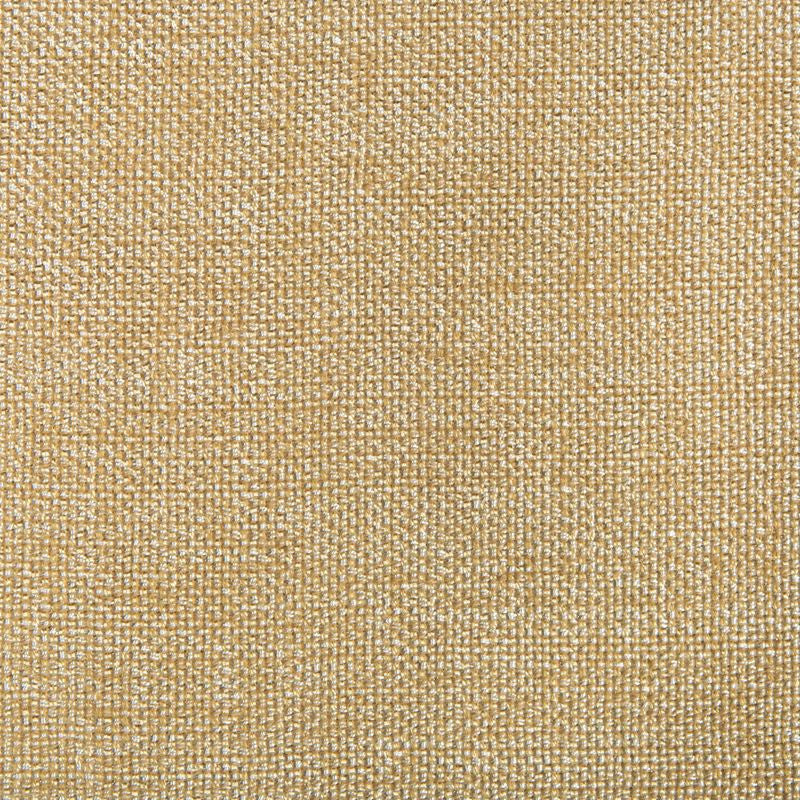 4458.116 by Kravet Contract Designer Fabric our website for purchase Polyester 100% China Heavy Horizontal: see sample and Vertical: see sample 54 inches - Swanky Fabrics -