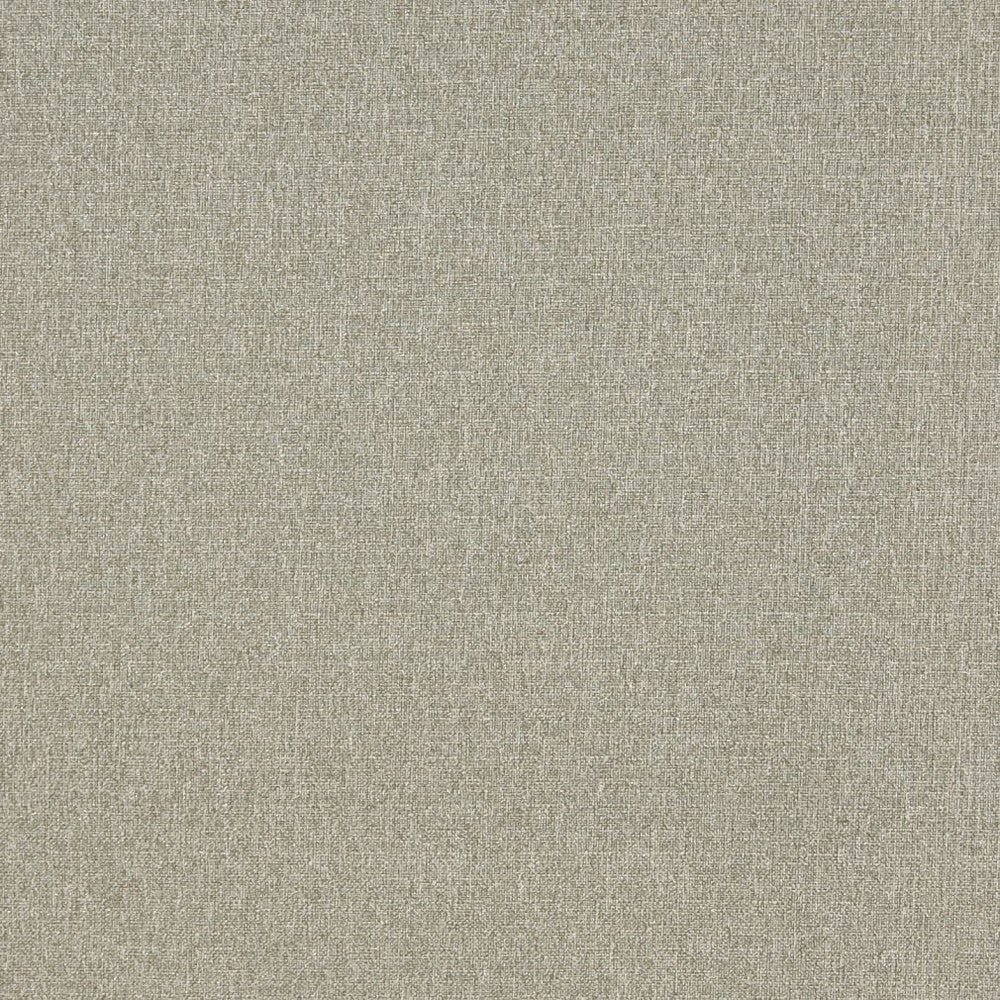 4529 Aloe by Charlotte Designer Fabric Ring Book Page #19 & Ring Book Page #34A 76% Olefin, 24% Polyester Made In USA Exceeds 70,000 Wyzenbeek Rubs (Heavy Duty) No Repeat 54 Inches - Swanky Fabrics -