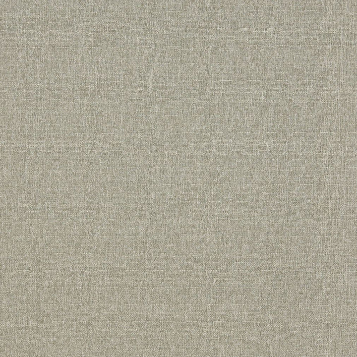 4529 Aloe by Charlotte Designer Fabric Ring Book Page #19 & Ring Book Page #34A 76% Olefin, 24% Polyester Made In USA Exceeds 70,000 Wyzenbeek Rubs (Heavy Duty) No Repeat 54 Inches - Swanky Fabrics -