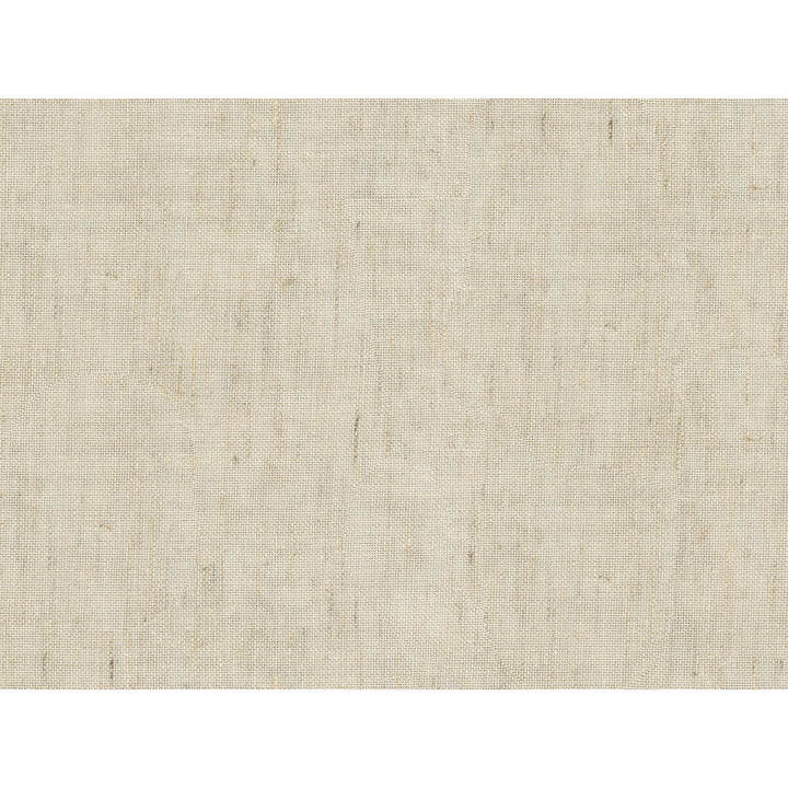 4541-116 by Kravet Contract Designer Fabric - POLYESTER - 100% China - Horizontal: - and Vertical: - 118 - Swanky Fabrics -