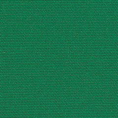 4600 Erin Green by Sunbrella Designer Fabric