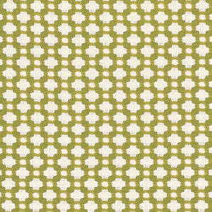 Betwixt Grass/Ivory 62614 by Schumacher Designer Fabric