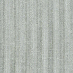 Antique Strie Velvet Ash 69748 by Schumacher Designer Fabric
