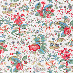 Pomegranate Botanical Document 178121 by Schumacher Designer Fabric
