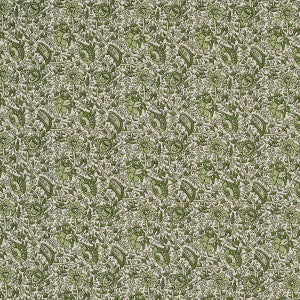 Daisy Indoor/Outdoor Leaf Green 180711 by Schumacher Designer Fabric