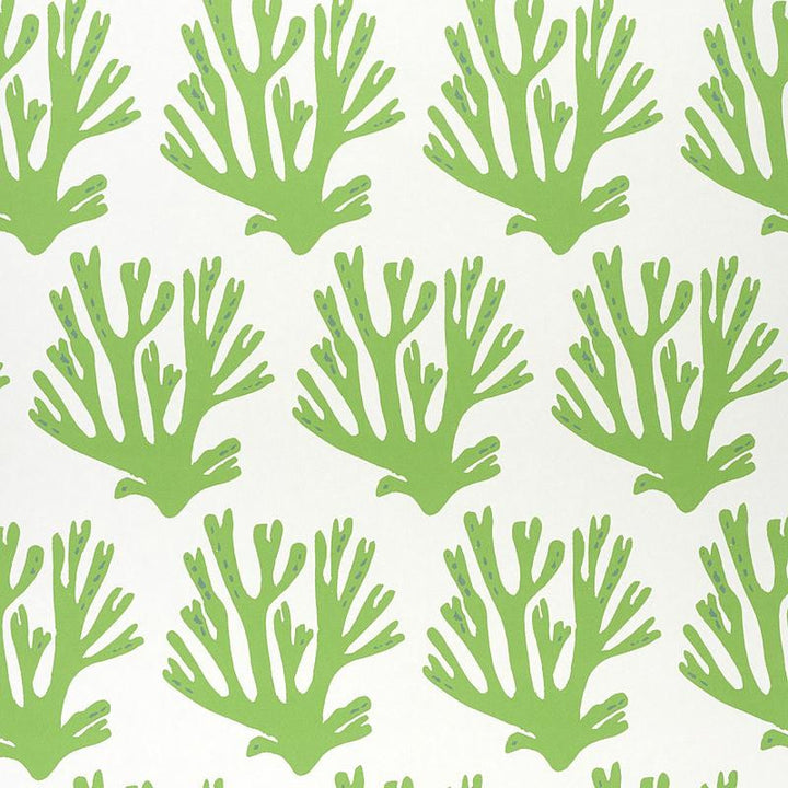 Coral Green 5011200 by Schumacher Designer Wallpaper Molly Mahon 6.88" - Swanky Fabrics -
