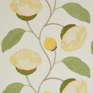 Celinda Embroidery Yellow 78300 by Schumacher Designer Fabric