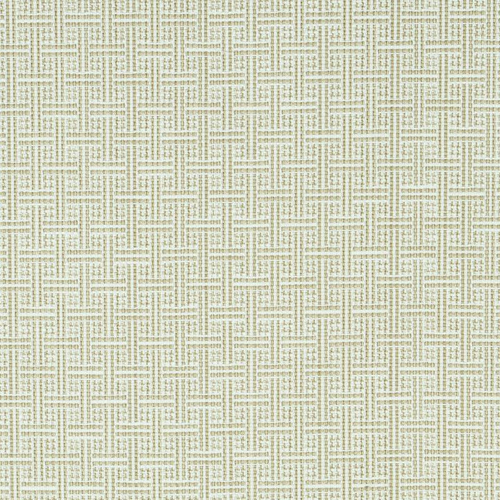 Brickell Indoor/Outdoor Neutral 75937 by Schumacher Designer Fabric Indoor/Outdoor: Prints & Wovens 1.0" - Swanky Fabrics -