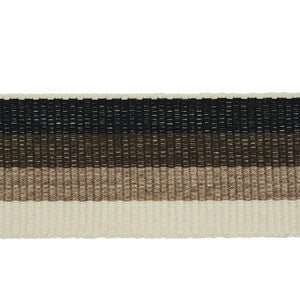 Ombre Tape Indoor/Outdoor Neutral 79431 by Schumacher Designer Trim