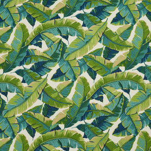 4635 Belize by Charlotte Designer Fabric