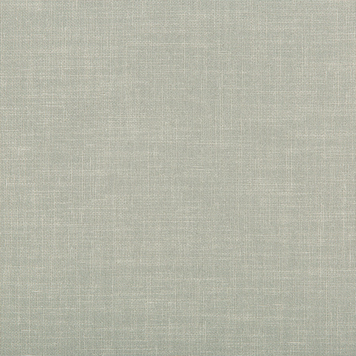 Kravet Contract 4639-11 by Kravet Contract Fabric Kravet Contract Fabric Kravet Contract 4639-11Fabric POLYESTER - 100% India </p><p>Repeat: H: 0, V: 0 58 - Fabric Carolina -