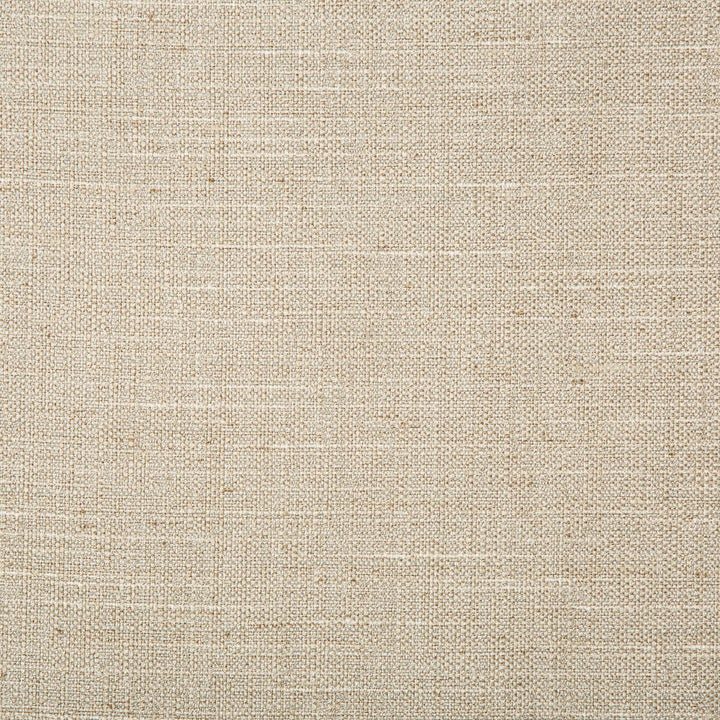 4665-106 by Kravet Basics Designer Fabric POLYESTER - 83%;RAYON - 12%;COTTON - 5% India HEAVY Horizontal: 0 and Vertical: 0 55 - Swanky Fabrics -
