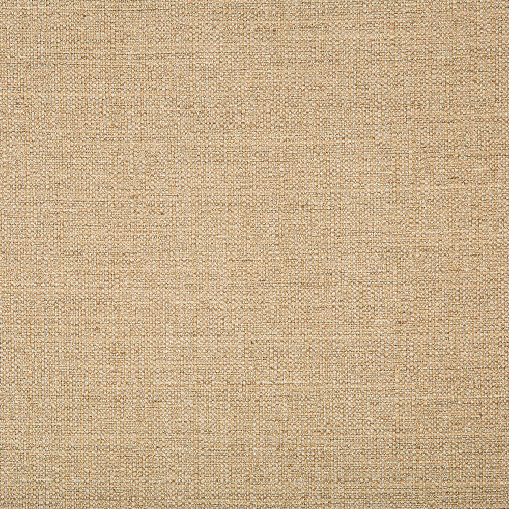 4665-16 by Kravet Basics Designer Fabric POLYESTER - 83%;RAYON - 12%;COTTON - 5% India HEAVY Horizontal: 0 and Vertical: 0 55 - Swanky Fabrics -