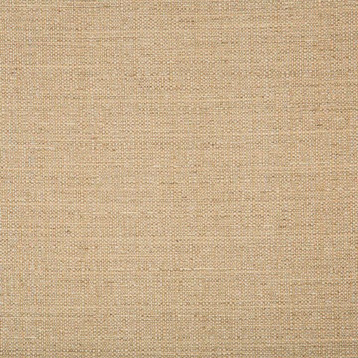 4665-16 by Kravet Basics Designer Fabric POLYESTER - 83%;RAYON - 12%;COTTON - 5% India HEAVY Horizontal: 0 and Vertical: 0 55 - Swanky Fabrics -