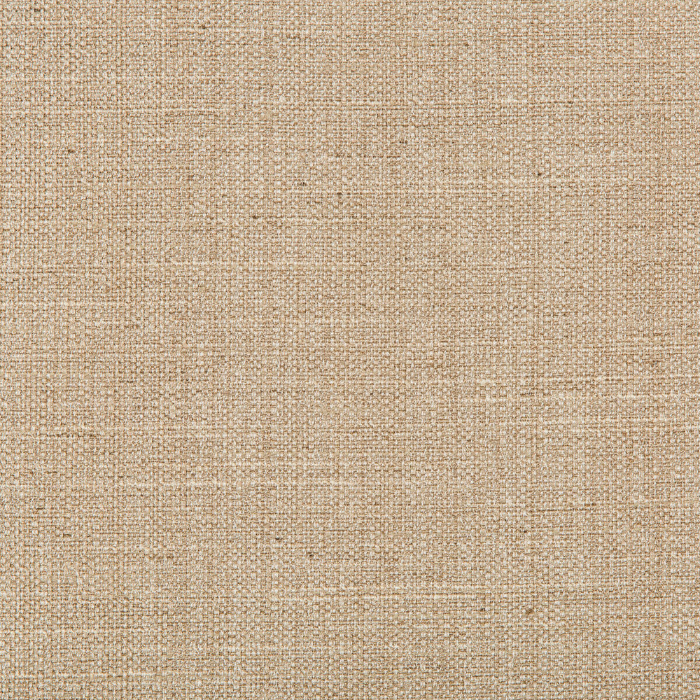 4665-16 by Kravet Basics Designer Fabric POLYESTER - 83%;RAYON - 12%;COTTON - 5% India HEAVY Horizontal: 0 and Vertical: 0 55 - Swanky Fabrics -