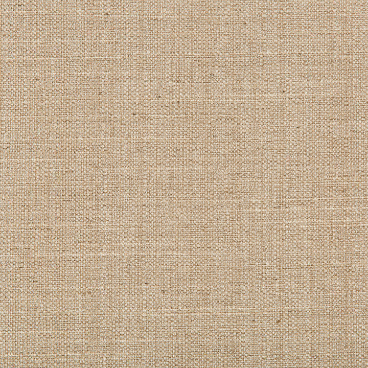 4665-16 by Kravet Basics Designer Fabric POLYESTER - 83%;RAYON - 12%;COTTON - 5% India HEAVY Horizontal: 0 and Vertical: 0 55 - Swanky Fabrics -