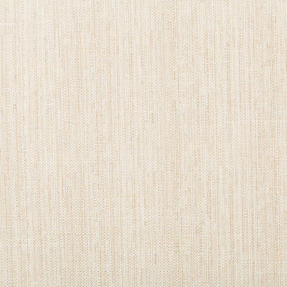 4665-1 by Kravet Basics Designer Fabric POLYESTER - 83%;RAYON - 12%;COTTON - 5% India HEAVY Horizontal: and Vertical: 55 - Swanky Fabrics -