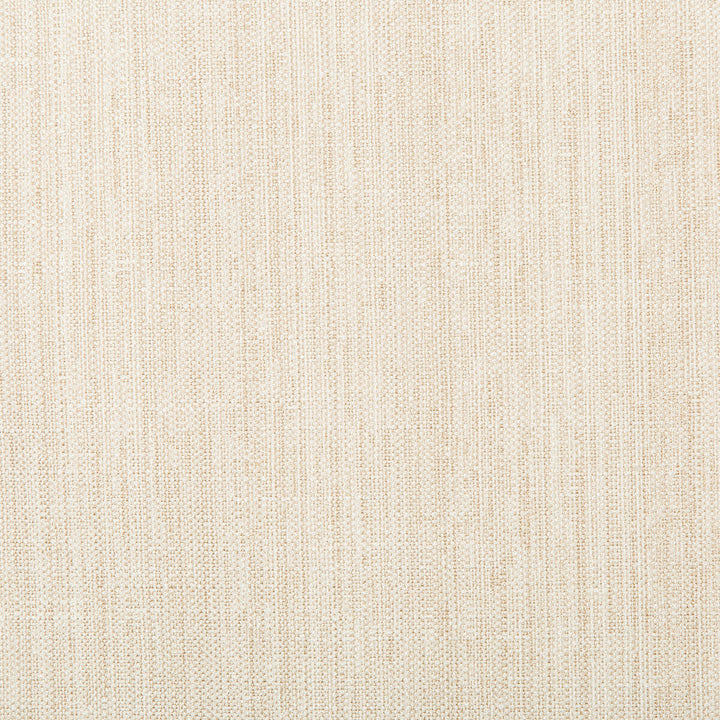 4665-1 by Kravet Basics Designer Fabric POLYESTER - 83%;RAYON - 12%;COTTON - 5% India HEAVY Horizontal: and Vertical: 55 - Swanky Fabrics -