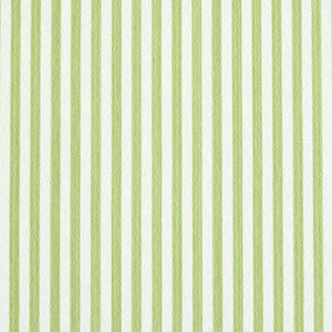 Edwin Stripe Narrow Leaf 5011869 by Schumacher Designer Wallpaper