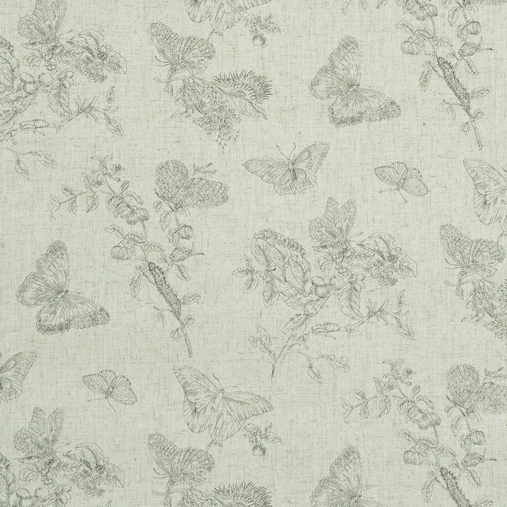 Baudin Butterfly Linen Black 5011830 by Schumacher Designer Wallpaper Perennial Favorites 26.0" - Swanky Fabrics -