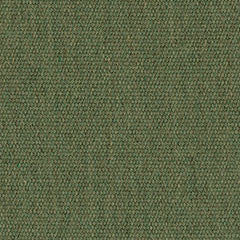 4671 Fern by Sunbrella Designer Fabric Awning Fabrics > SunbrellaÂ® Solids 100% Acrylic USA or Imported n/a 46" - Swanky Fabrics -
