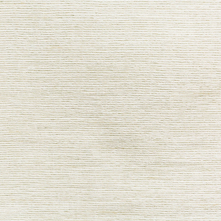 4671-116 by Kravet Basics Designer Fabric - VISCOSE - 73%;POLYESTER - 27% India - Horizontal: 0 and Vertical: 0 54 - Swanky Fabrics -