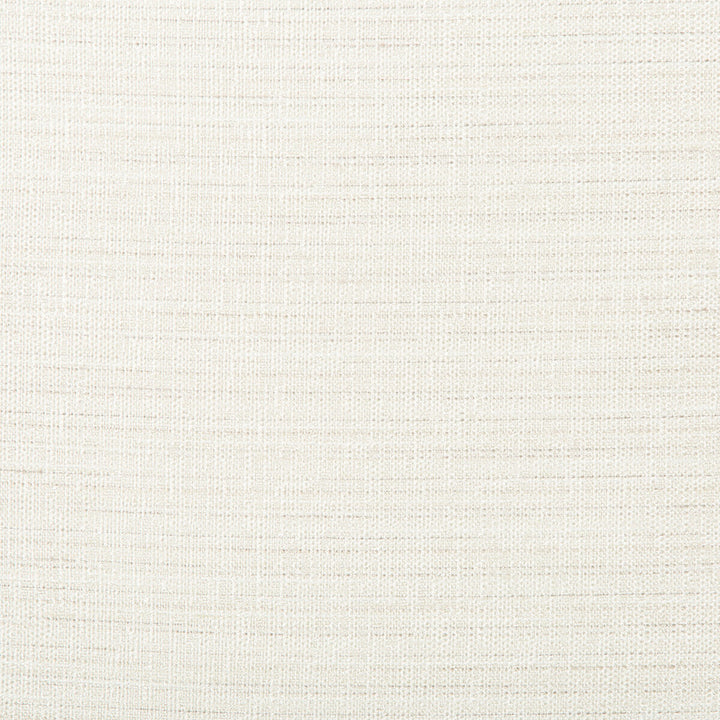 4673-101 by Kravet Basics Designer Fabric POLYESTER - 100% India Horizontal: 0 and Vertical: 0 54 - Swanky Fabrics -