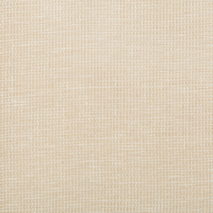 4675-16 by Kravet Basics Designer Fabric COTTON - 50%;POLYESTER - 50% India Horizontal: 0 and Vertical: 0 54 - Swanky Fabrics -