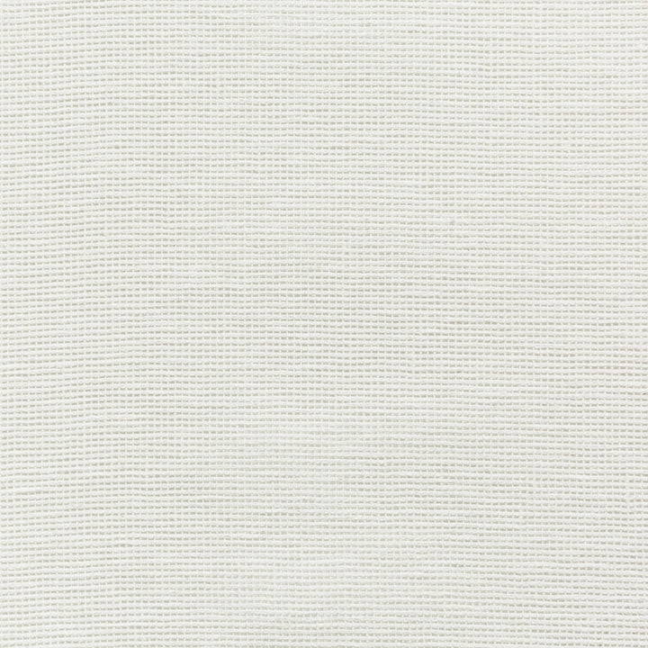 4675-1 by Kravet Basics Designer Fabric COTTON - 50%;POLYESTER - 50% India Horizontal: 0 and Vertical: 0 54 - Swanky Fabrics -