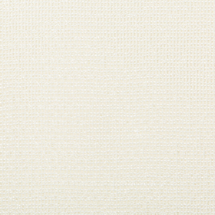 4676-1 by Kravet Basics Designer Fabric POLYESTER - 85%;COTTON - 15% India Horizontal: 0 and Vertical: 0 54 - Swanky Fabrics -