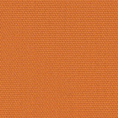 4677 Tuscan by Sunbrella Designer Fabric