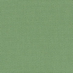 4688 Basil by Sunbrella Designer Fabric