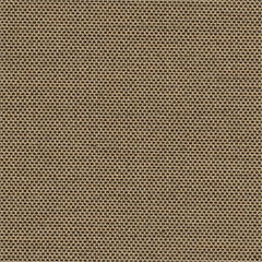 4696 Tresco Birch by Sunbrella Designer Fabric