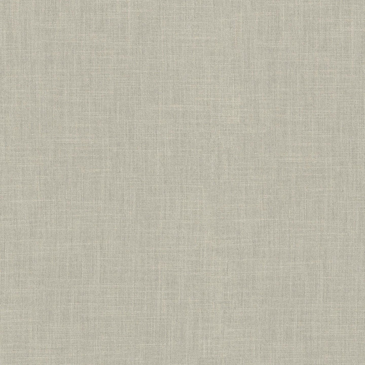 Millbrook Flax 470500 by PKL Studio Designer Fabric - 52% cotton, 48% polyester India 51000 Horizontal: N/A and Vertical: N/A 55 - Swanky Fabrics -