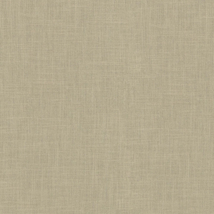 Millbrook Linen 470501 by PKL Studio Designer Fabric - 52% cotton, 48% polyester India 51000 Horizontal: N/A and Vertical: N/A 55 - Swanky Fabrics -