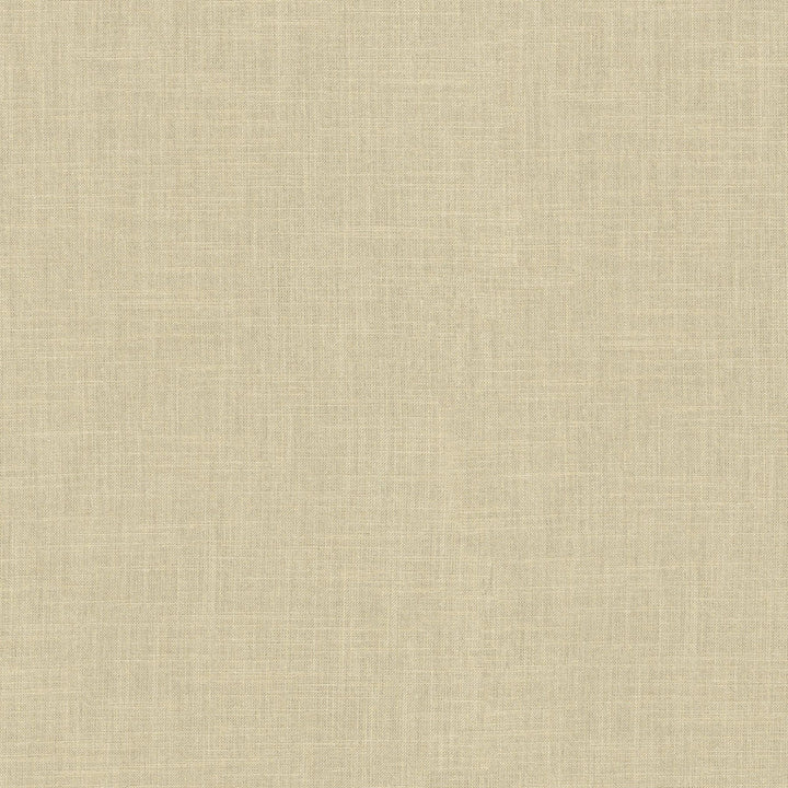 Millbrook Sand 470502 by PKL Studio Designer Fabric - 52% cotton, 48% polyester India 51000 Horizontal: N/A and Vertical: N/A 55 - Swanky Fabrics -